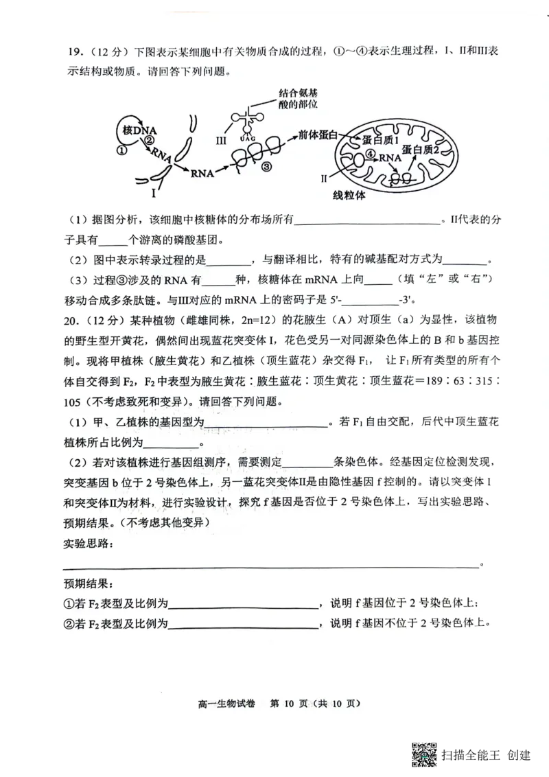 庆市渝中区巴蜀中学校2023-2024学年高一下学期7月期末考试生物试题_2024-2025高一（7-7月题库）_2024年7月试卷_0704重庆市巴蜀中学校2023-2024学年高一下学期期末考试