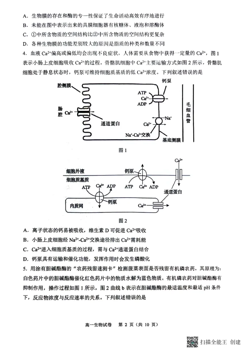 庆市渝中区巴蜀中学校2023-2024学年高一下学期7月期末考试生物试题_2024-2025高一（7-7月题库）_2024年7月试卷_0704重庆市巴蜀中学校2023-2024学年高一下学期期末考试