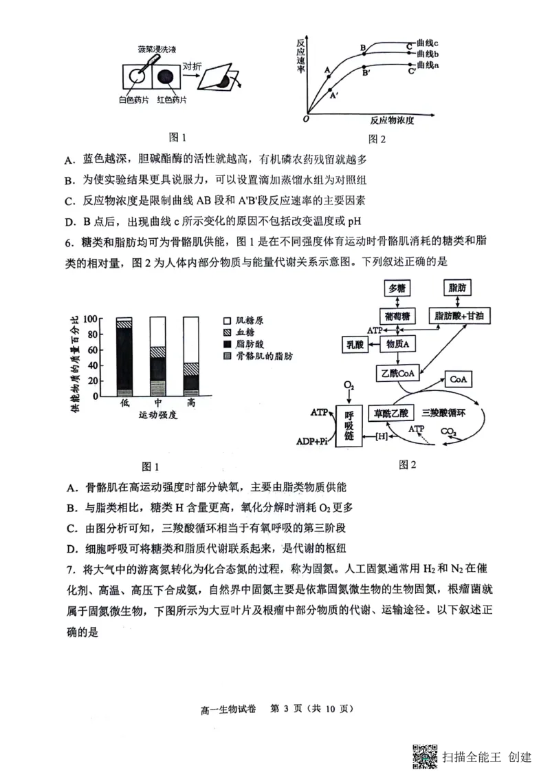庆市渝中区巴蜀中学校2023-2024学年高一下学期7月期末考试生物试题_2024-2025高一（7-7月题库）_2024年7月试卷_0704重庆市巴蜀中学校2023-2024学年高一下学期期末考试