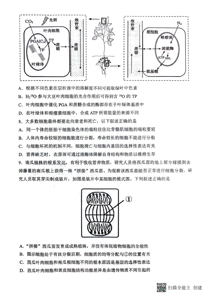 庆市渝中区巴蜀中学校2023-2024学年高一下学期7月期末考试生物试题_2024-2025高一（7-7月题库）_2024年7月试卷_0704重庆市巴蜀中学校2023-2024学年高一下学期期末考试