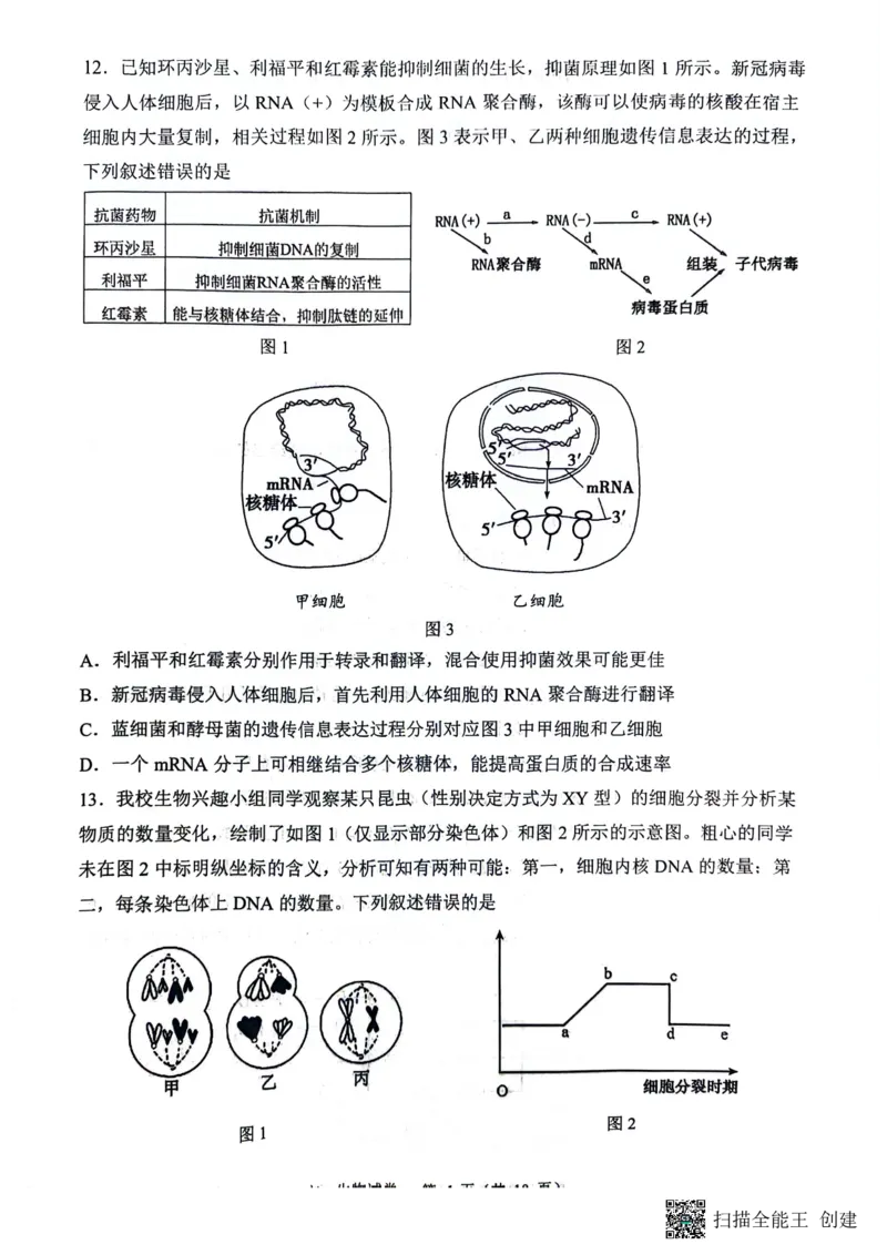 庆市渝中区巴蜀中学校2023-2024学年高一下学期7月期末考试生物试题_2024-2025高一（7-7月题库）_2024年7月试卷_0704重庆市巴蜀中学校2023-2024学年高一下学期期末考试