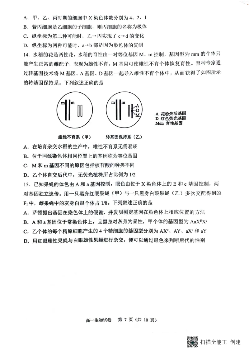 庆市渝中区巴蜀中学校2023-2024学年高一下学期7月期末考试生物试题_2024-2025高一（7-7月题库）_2024年7月试卷_0704重庆市巴蜀中学校2023-2024学年高一下学期期末考试