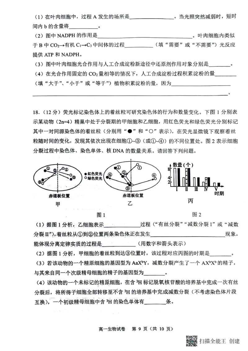 庆市渝中区巴蜀中学校2023-2024学年高一下学期7月期末考试生物试题_2024-2025高一（7-7月题库）_2024年7月试卷_0704重庆市巴蜀中学校2023-2024学年高一下学期期末考试
