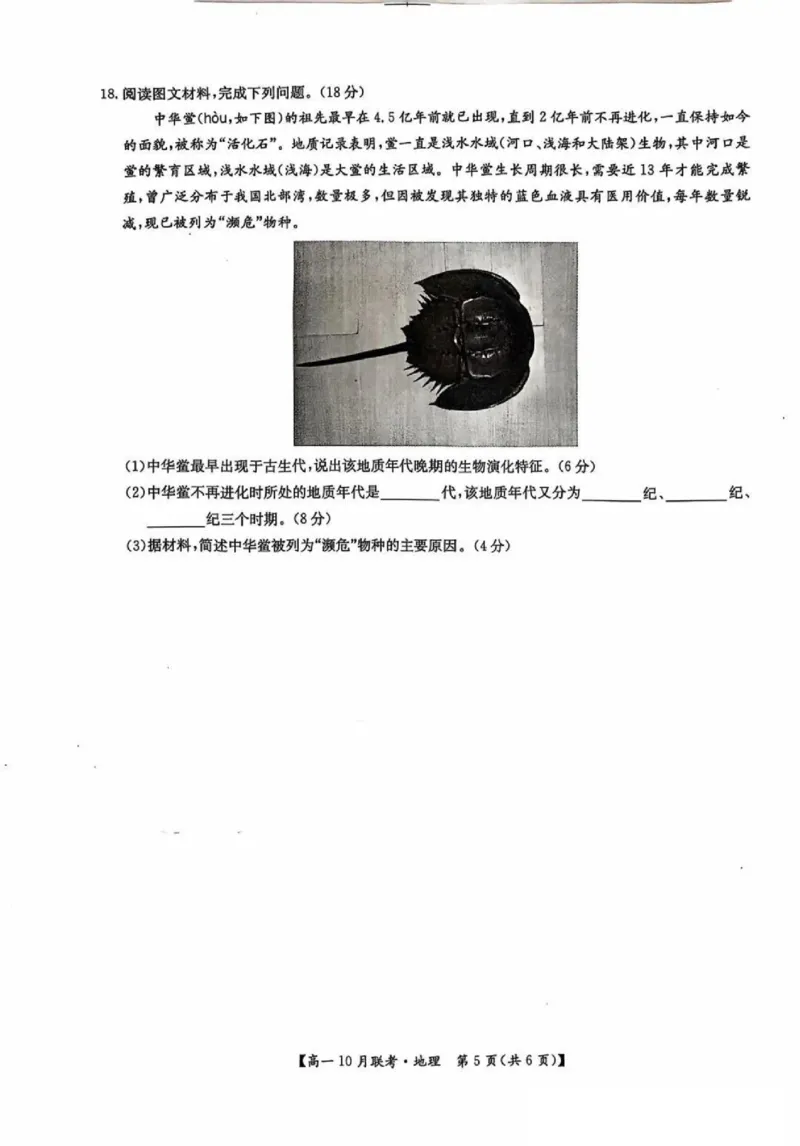 地理-河南洛阳九师联盟2024-2025学年高一上学期10月联考(1)_2024-2025高一（7-7月题库）_2024年10月试卷_1022河南洛阳九师联盟2024-2025学年高一上学期10月联考