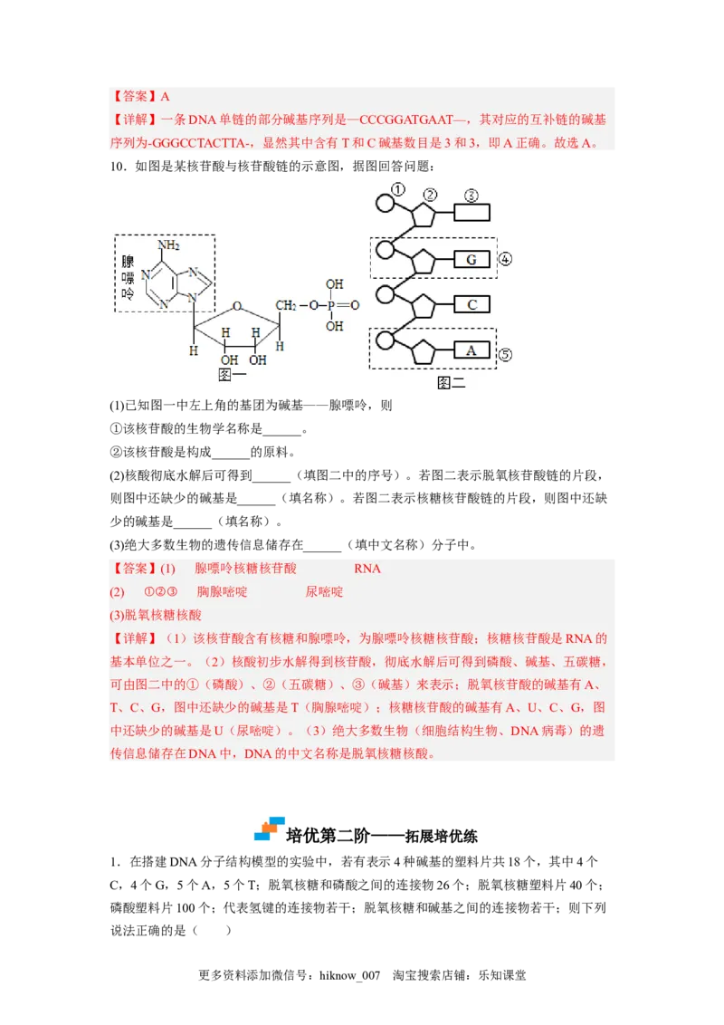3.2DNA的结构（解析版）_E015高中全科试卷_生物试题_必修2_2.同步练习_2、课后培优练2023_3.2+DNA的结构-2022-2023学年高一生物课后培优分级练（人教版2019必修2）