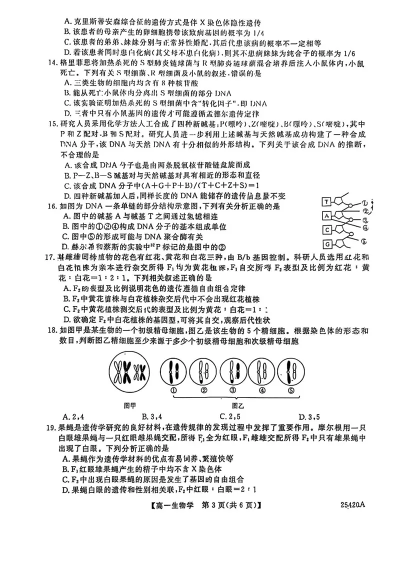吉林省松原市2024-2025学年高一下学期期中考试生物试卷（图片版，含答案）_2024-2025高一（7-7月题库）_2025年05月试卷_0530吉林省松原市2024-2025学年高一下学期期中考试