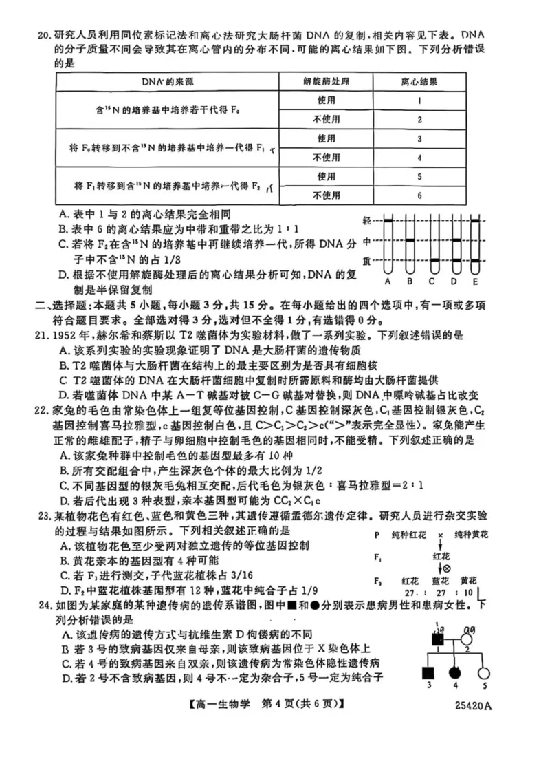 吉林省松原市2024-2025学年高一下学期期中考试生物试卷（图片版，含答案）_2024-2025高一（7-7月题库）_2025年05月试卷_0530吉林省松原市2024-2025学年高一下学期期中考试