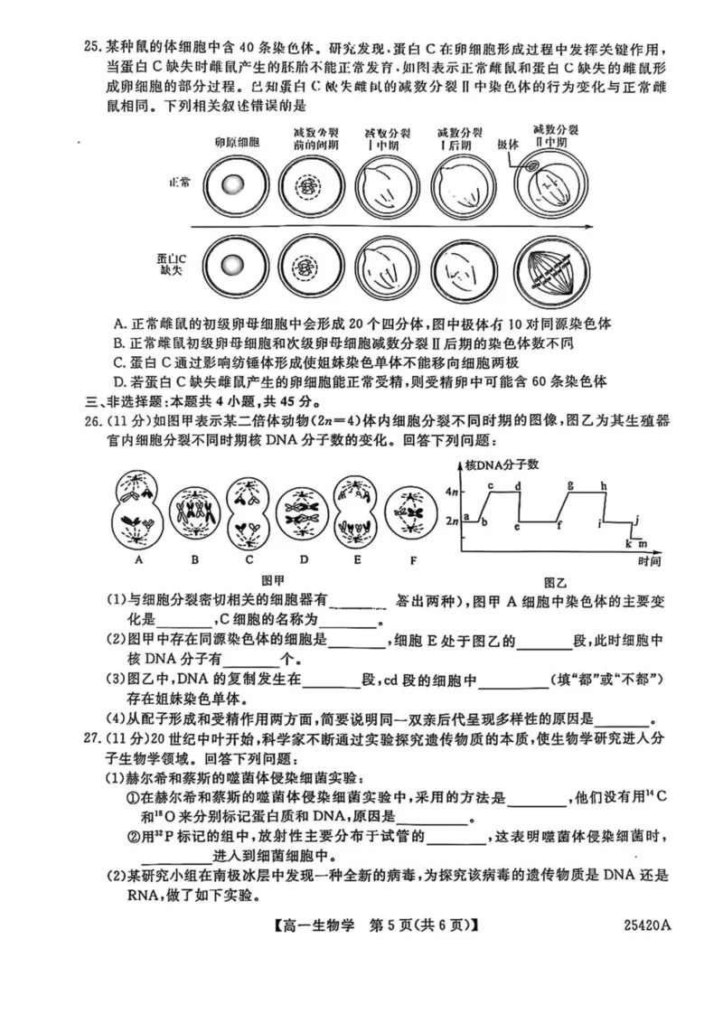 吉林省松原市2024-2025学年高一下学期期中考试生物试卷（图片版，含答案）_2024-2025高一（7-7月题库）_2025年05月试卷_0530吉林省松原市2024-2025学年高一下学期期中考试