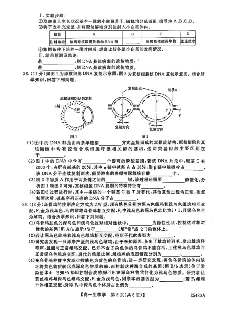 吉林省松原市2024-2025学年高一下学期期中考试生物试卷（图片版，含答案）_2024-2025高一（7-7月题库）_2025年05月试卷_0530吉林省松原市2024-2025学年高一下学期期中考试