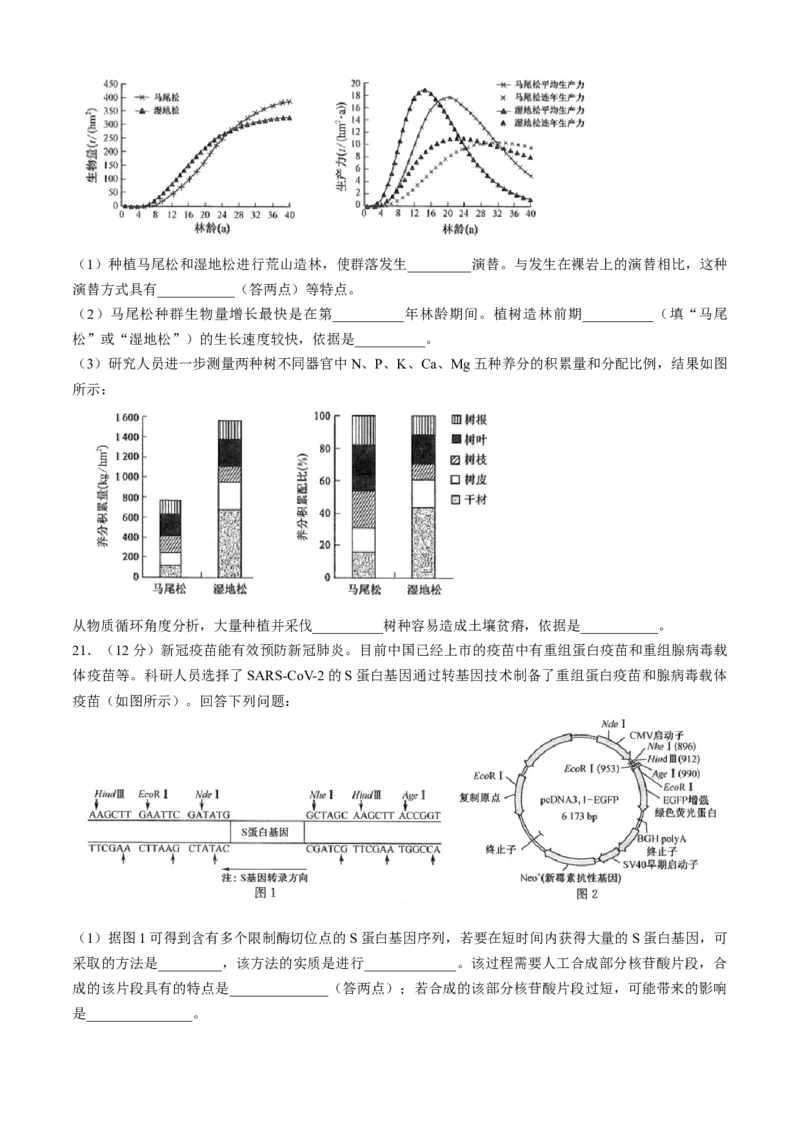 九师联盟2024届高三3月质量检测巩固卷（X-G）生物(1)_2024年3月_013月合集_2024届九师联盟高三3月质量检测巩固卷（X-G）