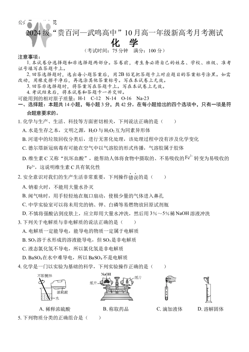 广西壮族自治区贵百河-武鸣高中2024-2025学年高一上学期10月月考试题化学Word版含答案_2024-2025高一（7-7月题库）_2024年11月试卷