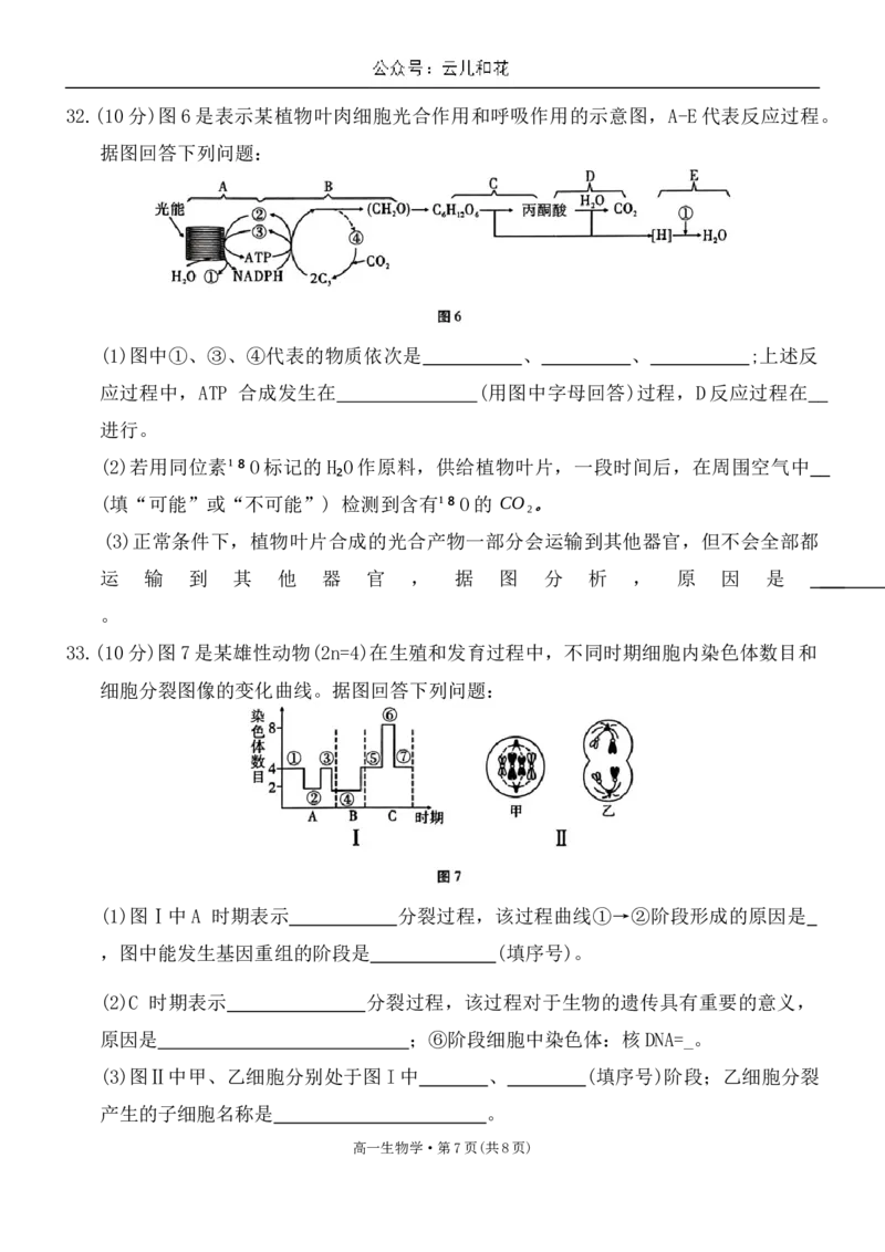 云南省玉溪市2023-2024学年高一下学期7月期末教学质量检测生物试题_2024-2025高一（7-7月题库）_2024年8月试卷_0802云南省玉溪市2023-2024学年高一下学期期末教学质量检测