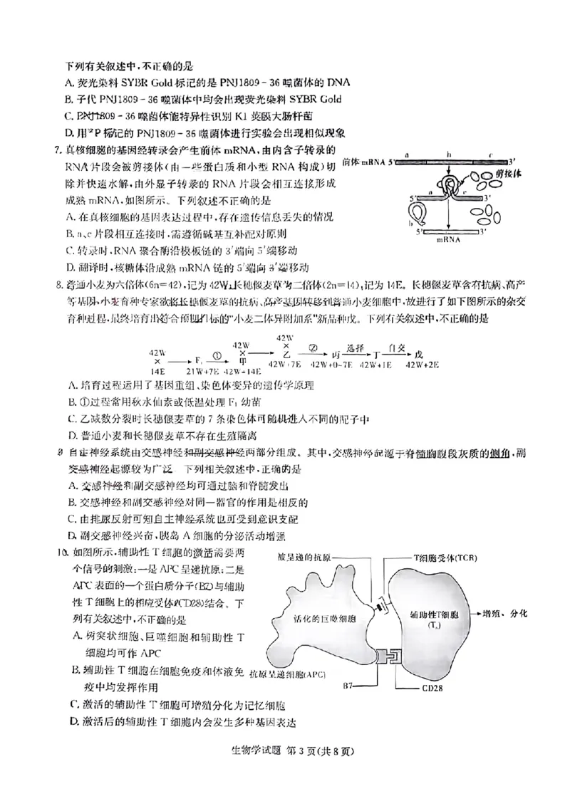 佩佩教育2024年普通高中学业水平选择性考试湖南3月高三联考卷生物(1)_2024年3月_013月合集_2024届湖南&bull;省佩佩教育高三3月联考卷