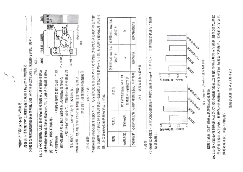 佩佩教育2024年普通高中学业水平选择性考试湖南3月高三联考卷生物(1)_2024年3月_013月合集_2024届湖南&bull;省佩佩教育高三3月联考卷