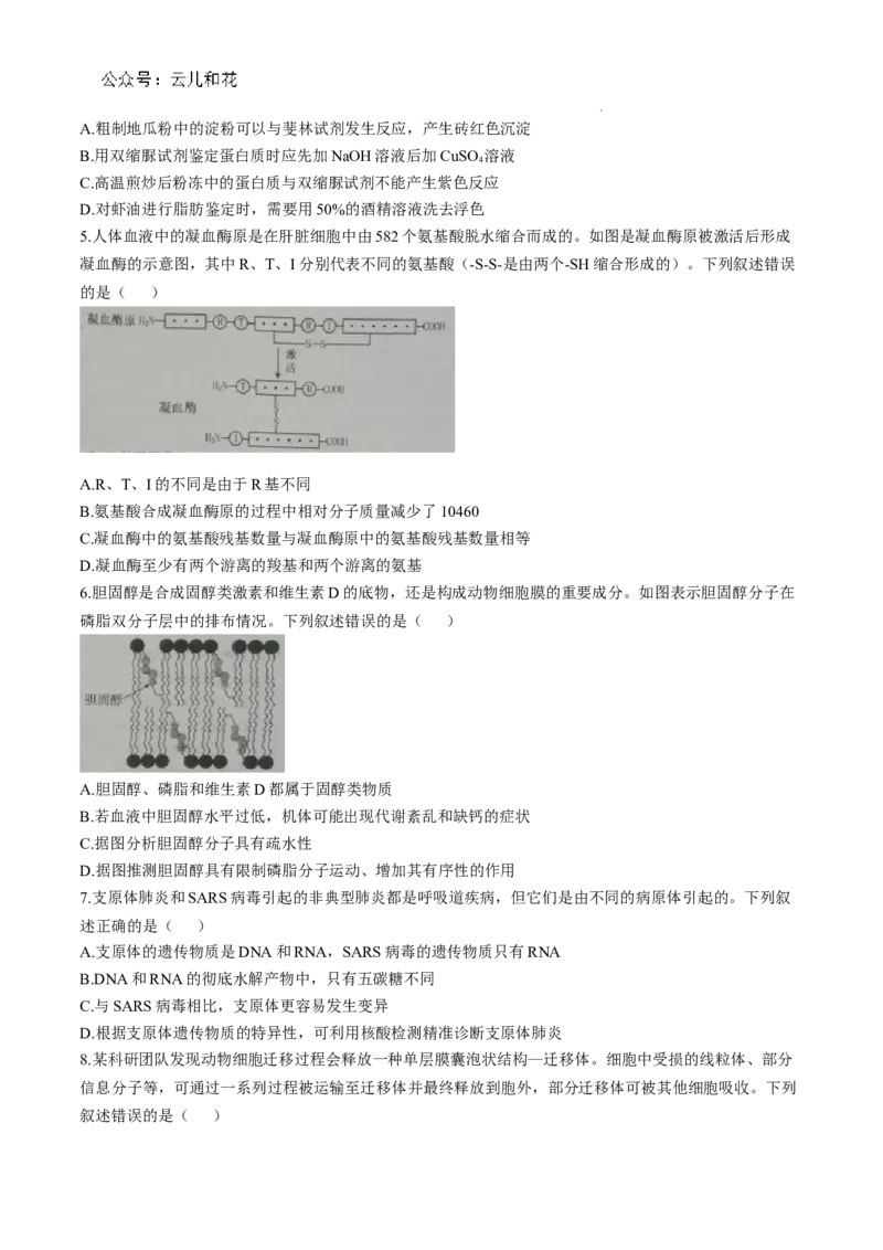 山东省烟台市2024-2025学年高一上学期11月期中考试生物Word版含答案_2024-2025高一（7-7月题库）_2024年11月试卷_1119山东省烟台市2024-2025学年高一上学期11月期中考试