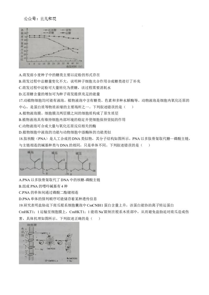 山东省烟台市2024-2025学年高一上学期11月期中考试生物Word版含答案_2024-2025高一（7-7月题库）_2024年11月试卷_1119山东省烟台市2024-2025学年高一上学期11月期中考试