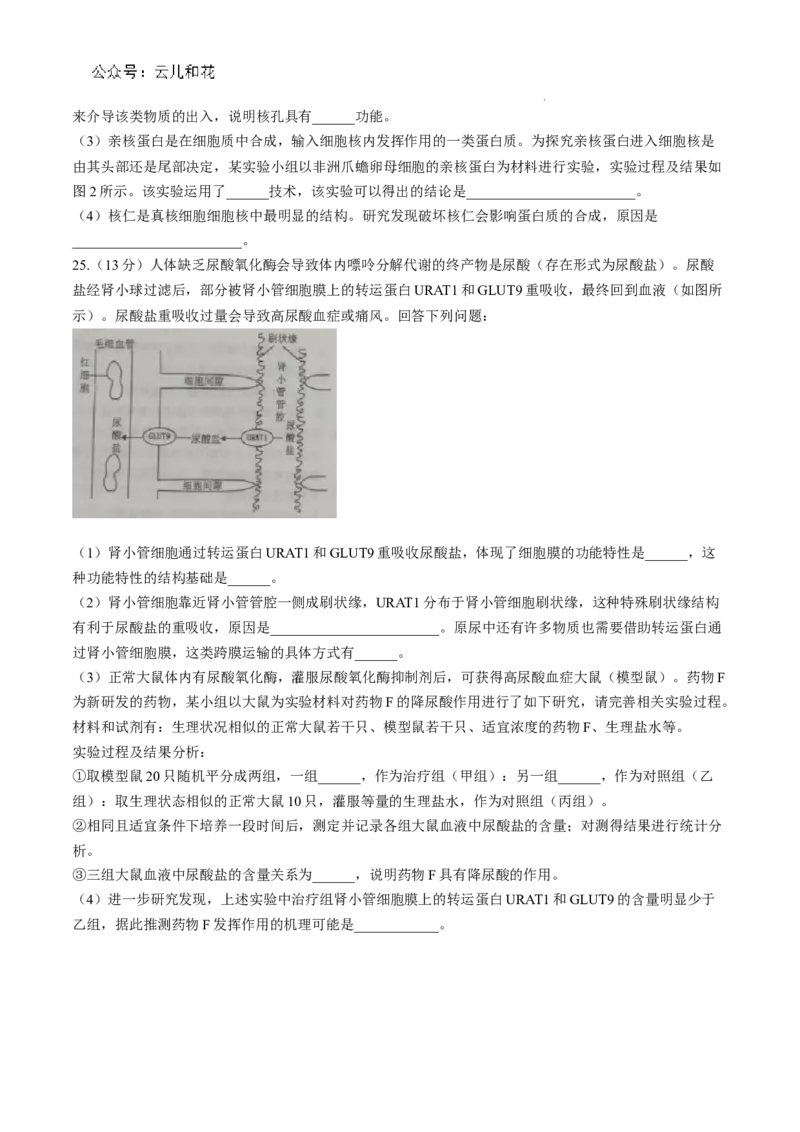 山东省烟台市2024-2025学年高一上学期11月期中考试生物Word版含答案_2024-2025高一（7-7月题库）_2024年11月试卷_1119山东省烟台市2024-2025学年高一上学期11月期中考试