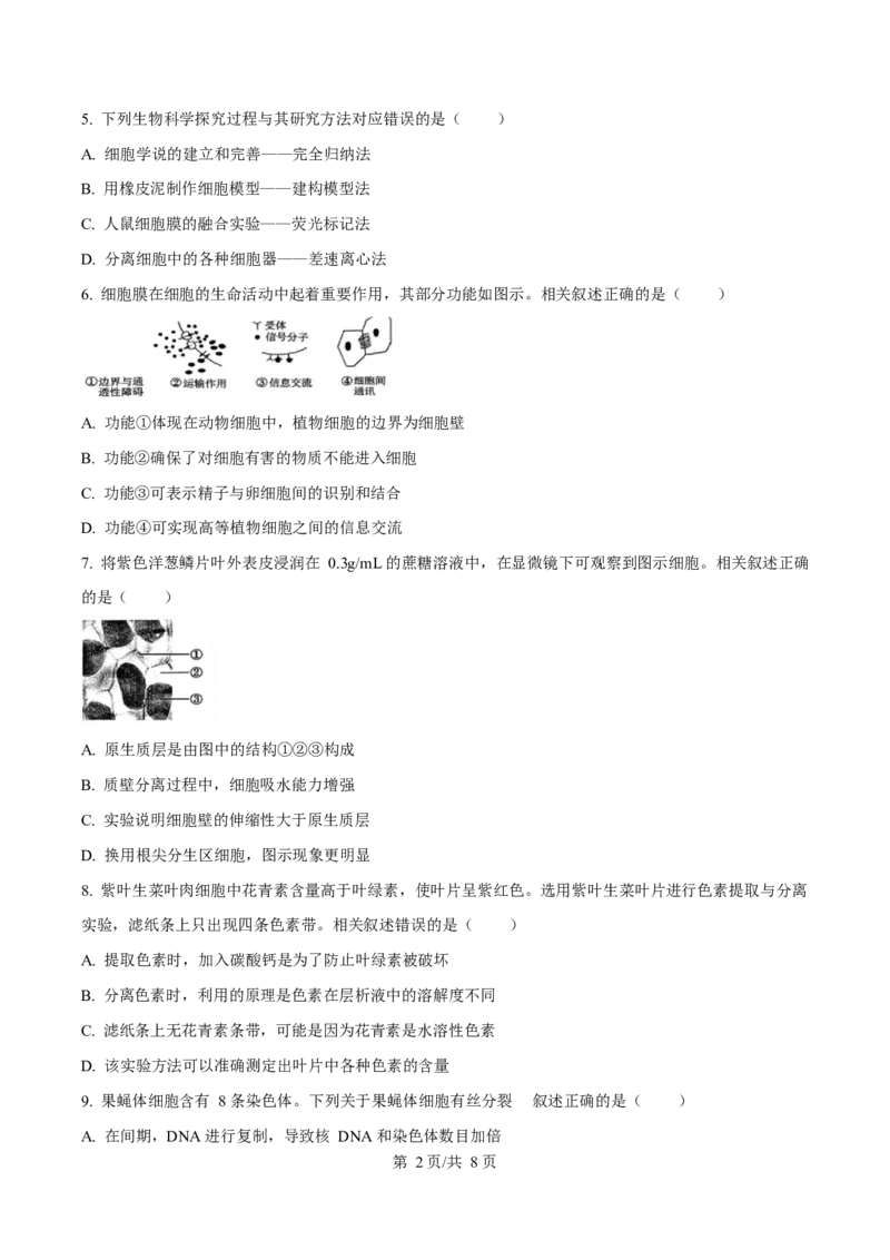 广东省东莞市2024-2025学年高一上学期1月期末教学质量检查生物试卷（含答案)_2024-2025高一（7-7月题库）_2025年02月试卷_0218广东省东莞市2024-2025学年高一上学期1月期末考试