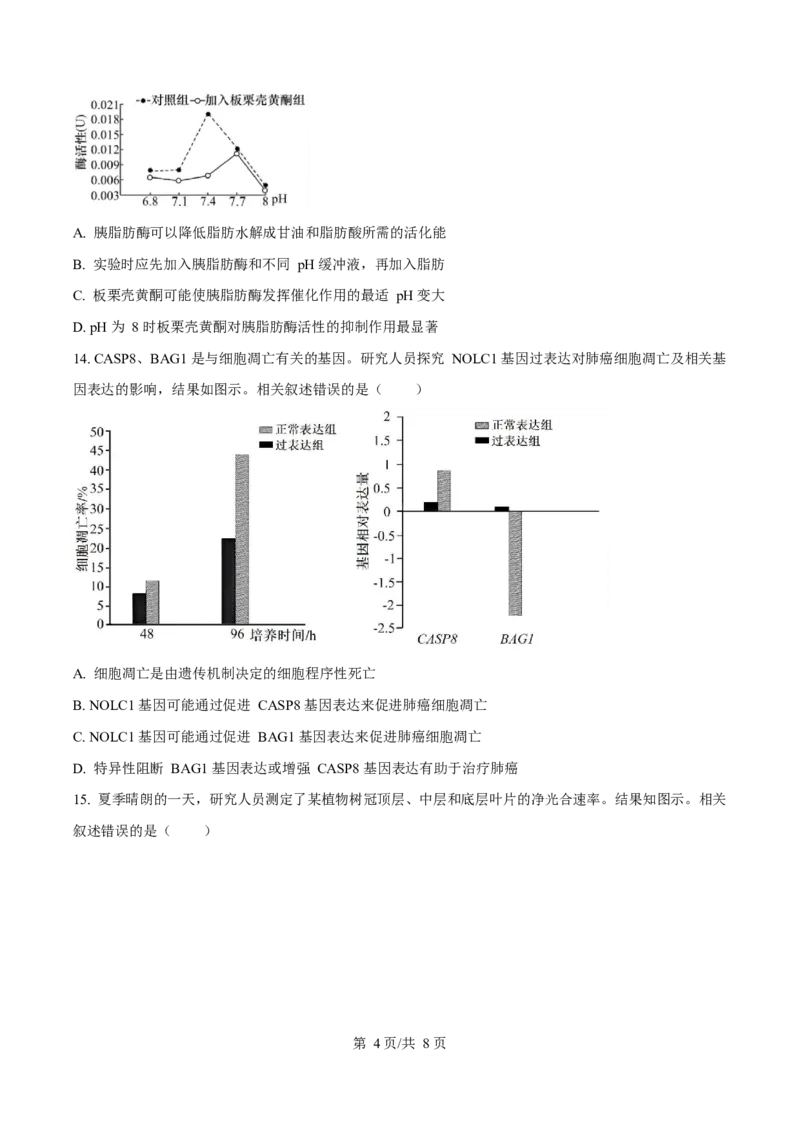 广东省东莞市2024-2025学年高一上学期1月期末教学质量检查生物试卷（含答案)_2024-2025高一（7-7月题库）_2025年02月试卷_0218广东省东莞市2024-2025学年高一上学期1月期末考试