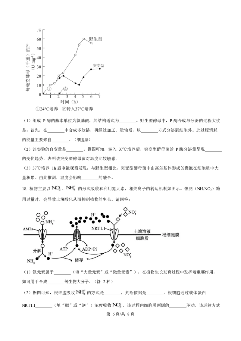广东省东莞市2024-2025学年高一上学期1月期末教学质量检查生物试卷（含答案)_2024-2025高一（7-7月题库）_2025年02月试卷_0218广东省东莞市2024-2025学年高一上学期1月期末考试
