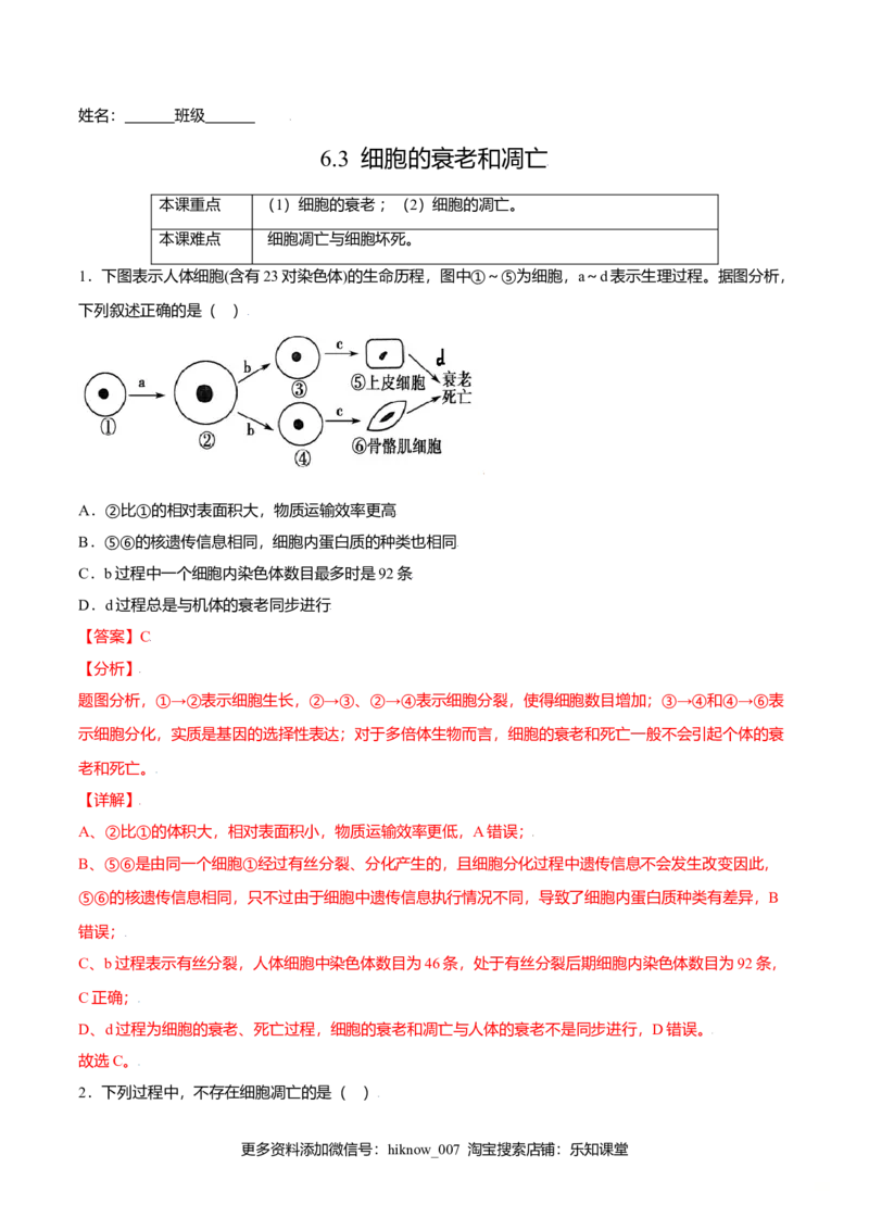 6.3细胞的衰老和凋亡-高一生物课后培优练（人教版2019必修1）（解析版）_E015高中全科试卷_生物试题_必修1_2.同步练习_3.同步练习（第三套）