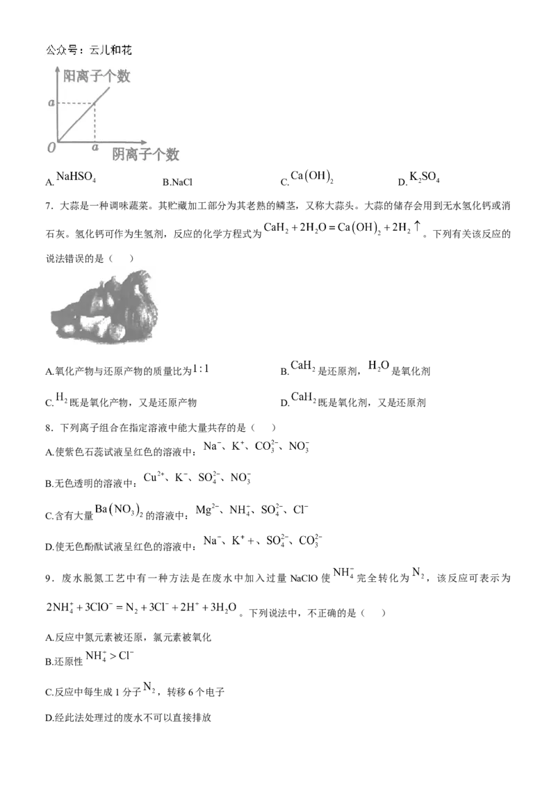 吉林省长春市农安县2024-2025学年高一上学期期中考试化学试题（含答案）_2024-2025高一（7-7月题库）_2024年12月试卷_1205吉林省长春市农安县2024-2025学年高一上学期期中考试