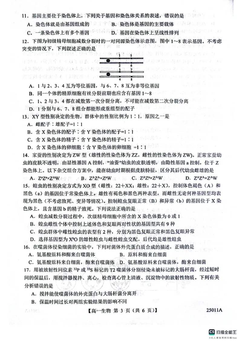 山东省菏泽市鄄城县第一中学2024-2025学年高一下学期4月月考生物试题（有解析）_2024-2025高一（7-7月题库）_2025年04月试卷_0411山东省菏泽市鄄城县第一中学2024-2025学年高一下学期4月月考