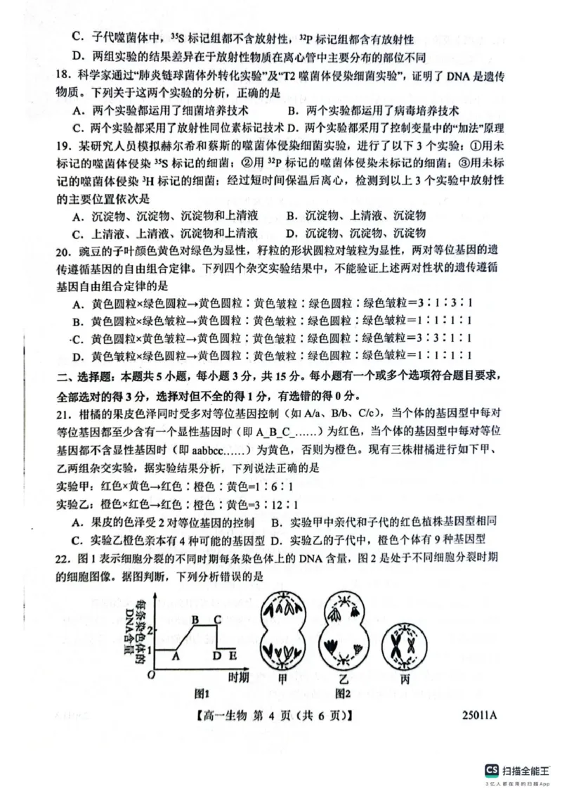 山东省菏泽市鄄城县第一中学2024-2025学年高一下学期4月月考生物试题（有解析）_2024-2025高一（7-7月题库）_2025年04月试卷_0411山东省菏泽市鄄城县第一中学2024-2025学年高一下学期4月月考