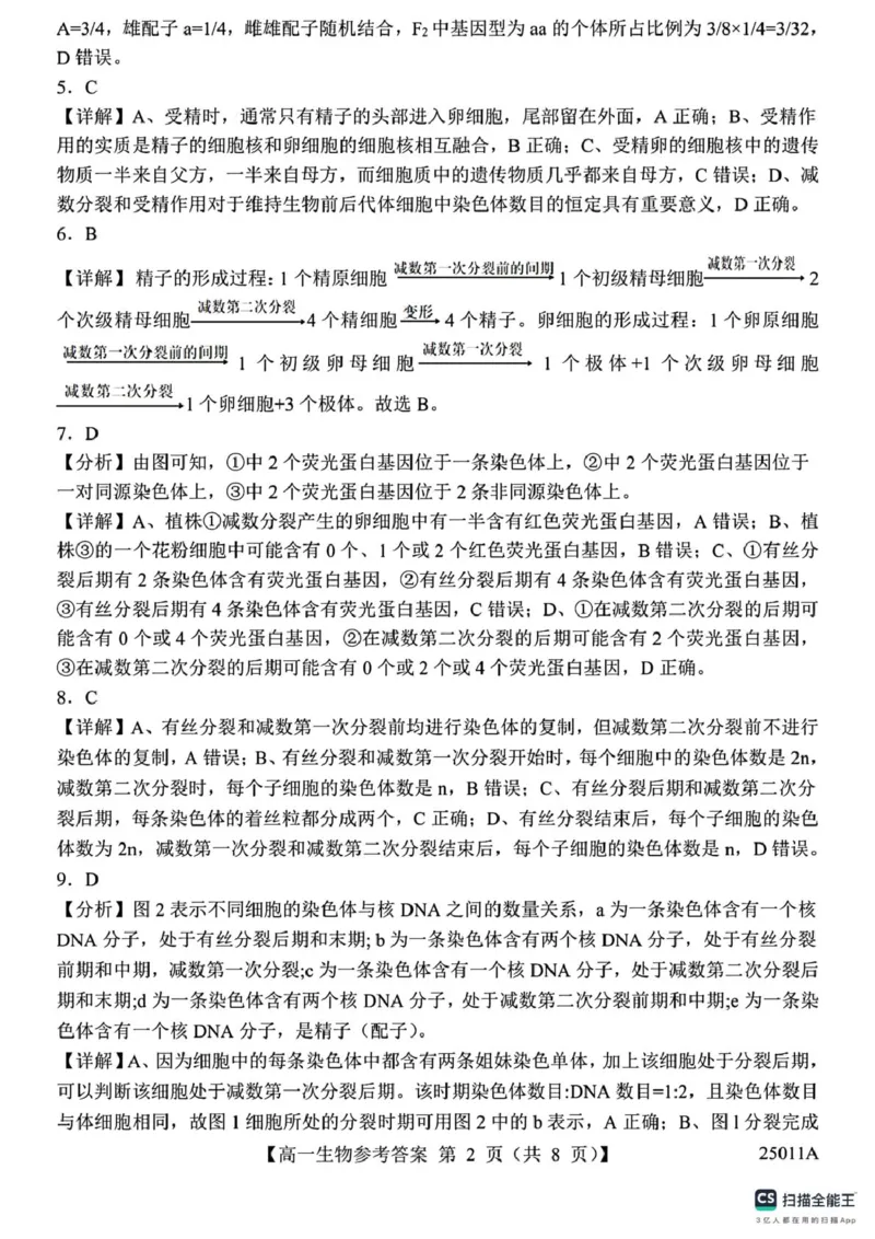 山东省菏泽市鄄城县第一中学2024-2025学年高一下学期4月月考生物试题（有解析）_2024-2025高一（7-7月题库）_2025年04月试卷_0411山东省菏泽市鄄城县第一中学2024-2025学年高一下学期4月月考