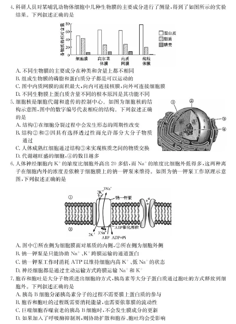 山西省2024-2025学年高一上学期1月期末质量检测生物试卷（扫描版含部分解析）_2024-2025高一（7-7月题库）_2025年02月试卷_0207山西省2024-2025学年高一上学期1月期末质量检测