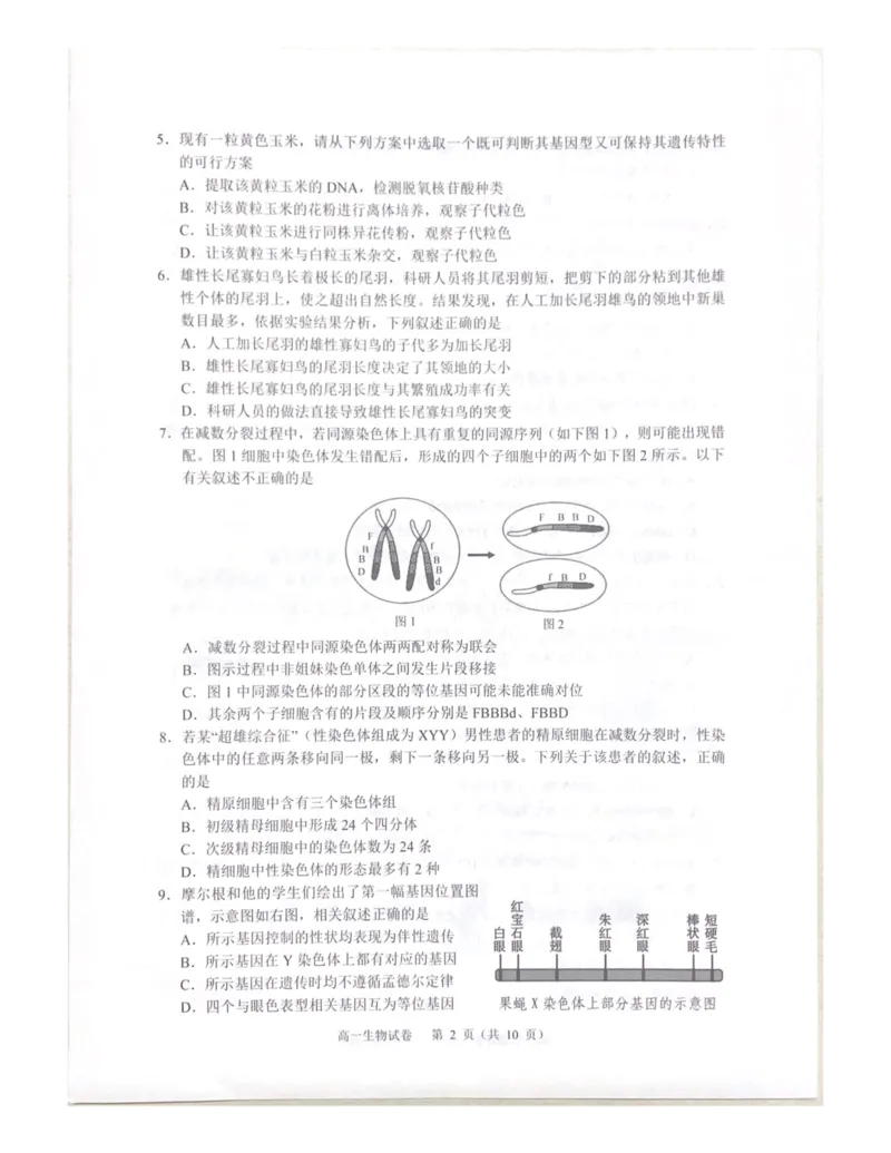 广东省大湾区2024-2025学年高一下学期期末考试生物试题_2024-2025高一（7-7月题库）_2025年7月_250711广东省大湾区2024-2025学年高一下学期期末统一测试