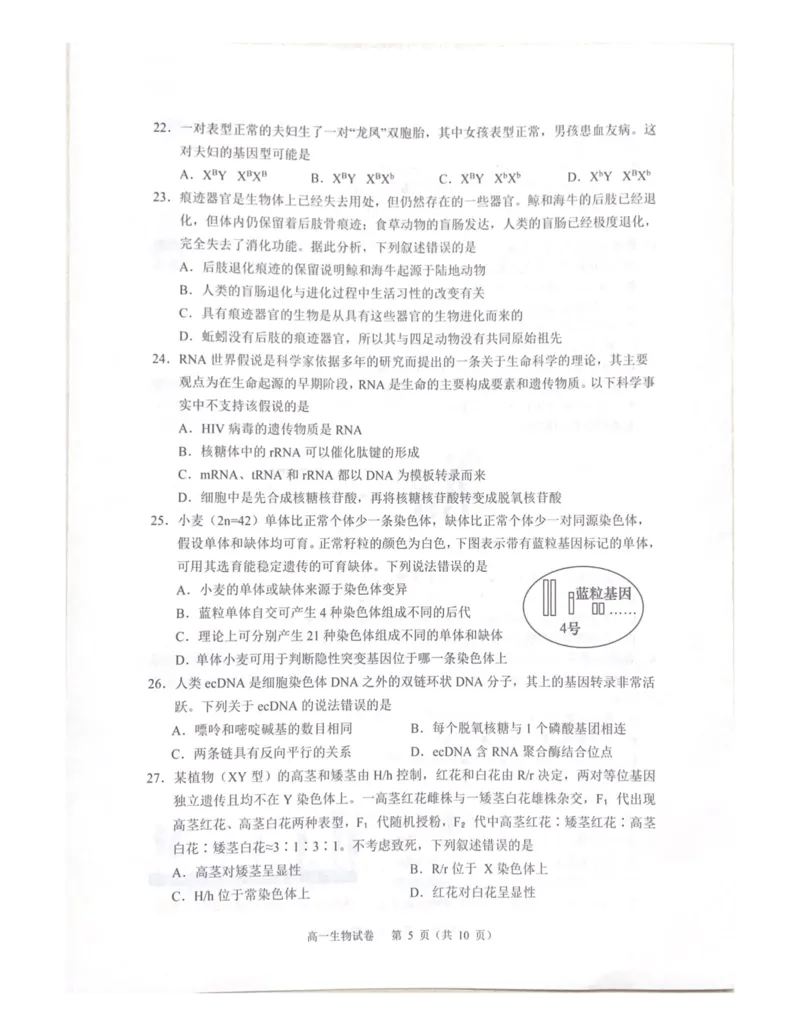 广东省大湾区2024-2025学年高一下学期期末考试生物试题_2024-2025高一（7-7月题库）_2025年7月_250711广东省大湾区2024-2025学年高一下学期期末统一测试