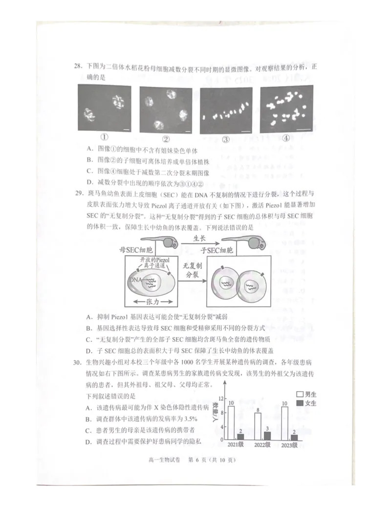 广东省大湾区2024-2025学年高一下学期期末考试生物试题_2024-2025高一（7-7月题库）_2025年7月_250711广东省大湾区2024-2025学年高一下学期期末统一测试