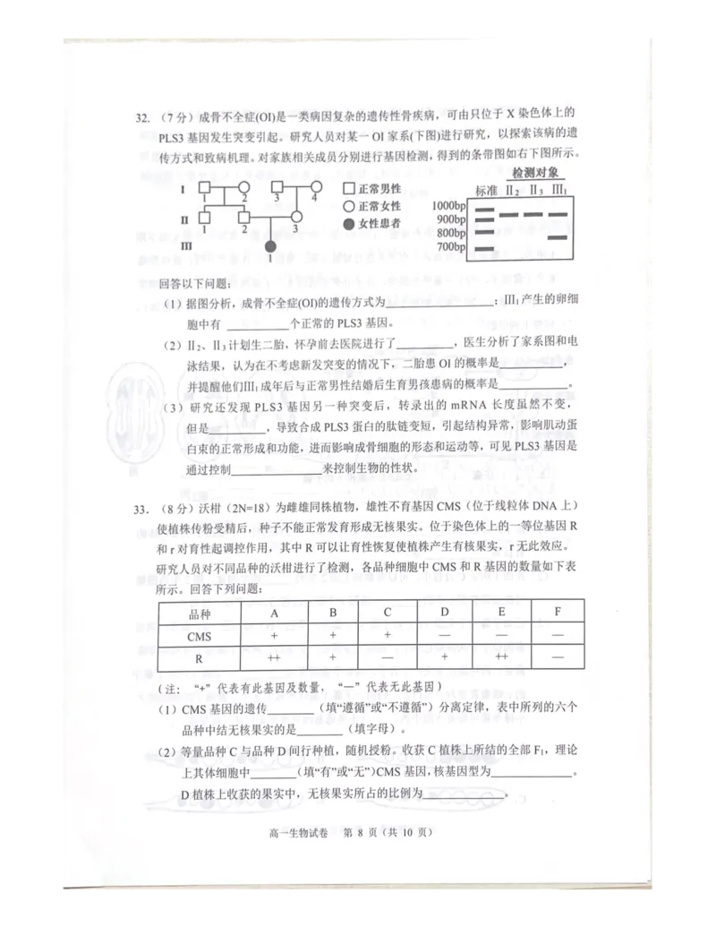 广东省大湾区2024-2025学年高一下学期期末考试生物试题_2024-2025高一（7-7月题库）_2025年7月_250711广东省大湾区2024-2025学年高一下学期期末统一测试
