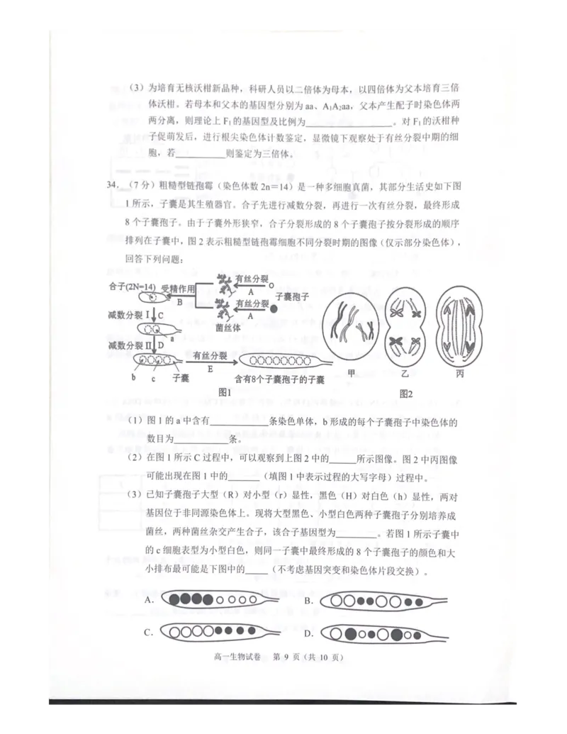 广东省大湾区2024-2025学年高一下学期期末考试生物试题_2024-2025高一（7-7月题库）_2025年7月_250711广东省大湾区2024-2025学年高一下学期期末统一测试