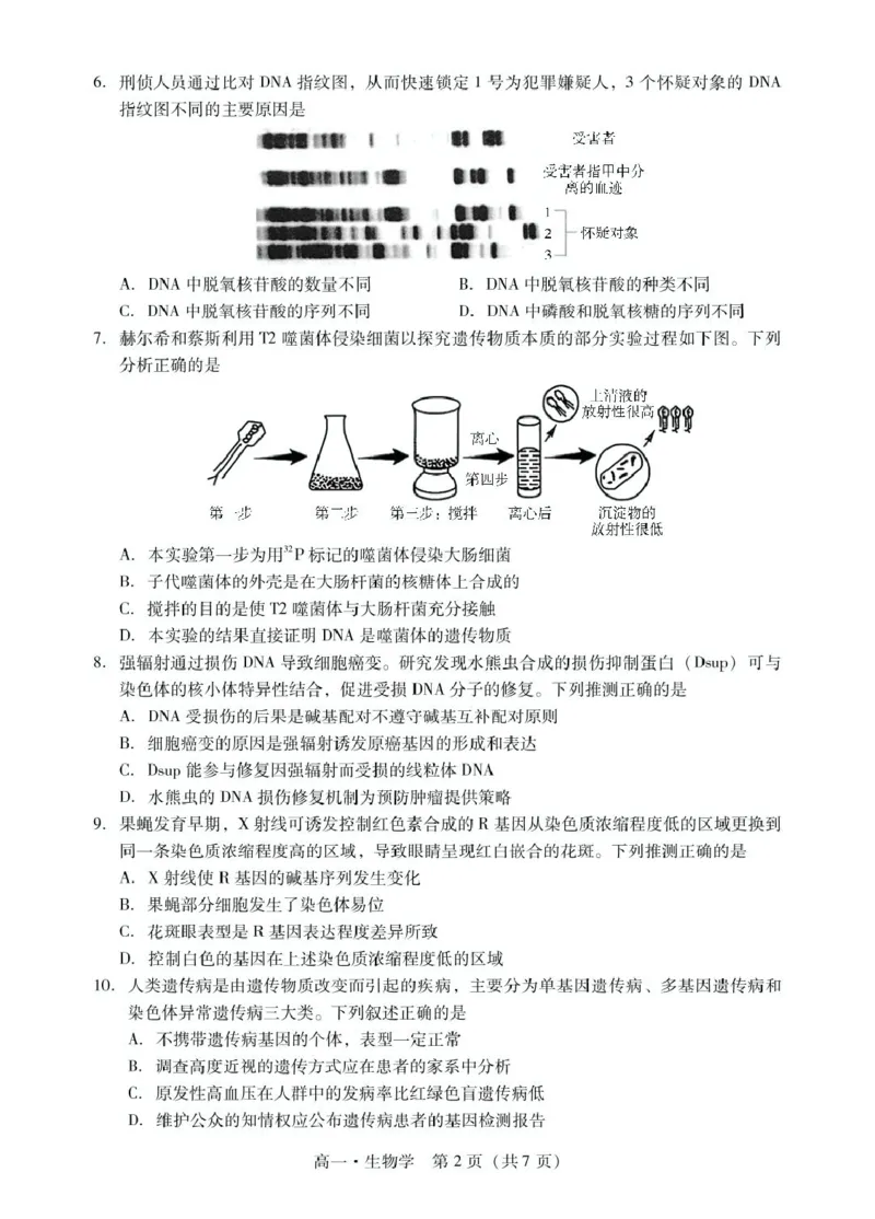 广东省肇庆市2024-2025学年高一下学期期末统一考试生物试卷（图片版有解析）_2024-2025高一（7-7月题库）_2025年7月_250720广东省肇庆市2024-2025学年高一下学期期末考试（全）
