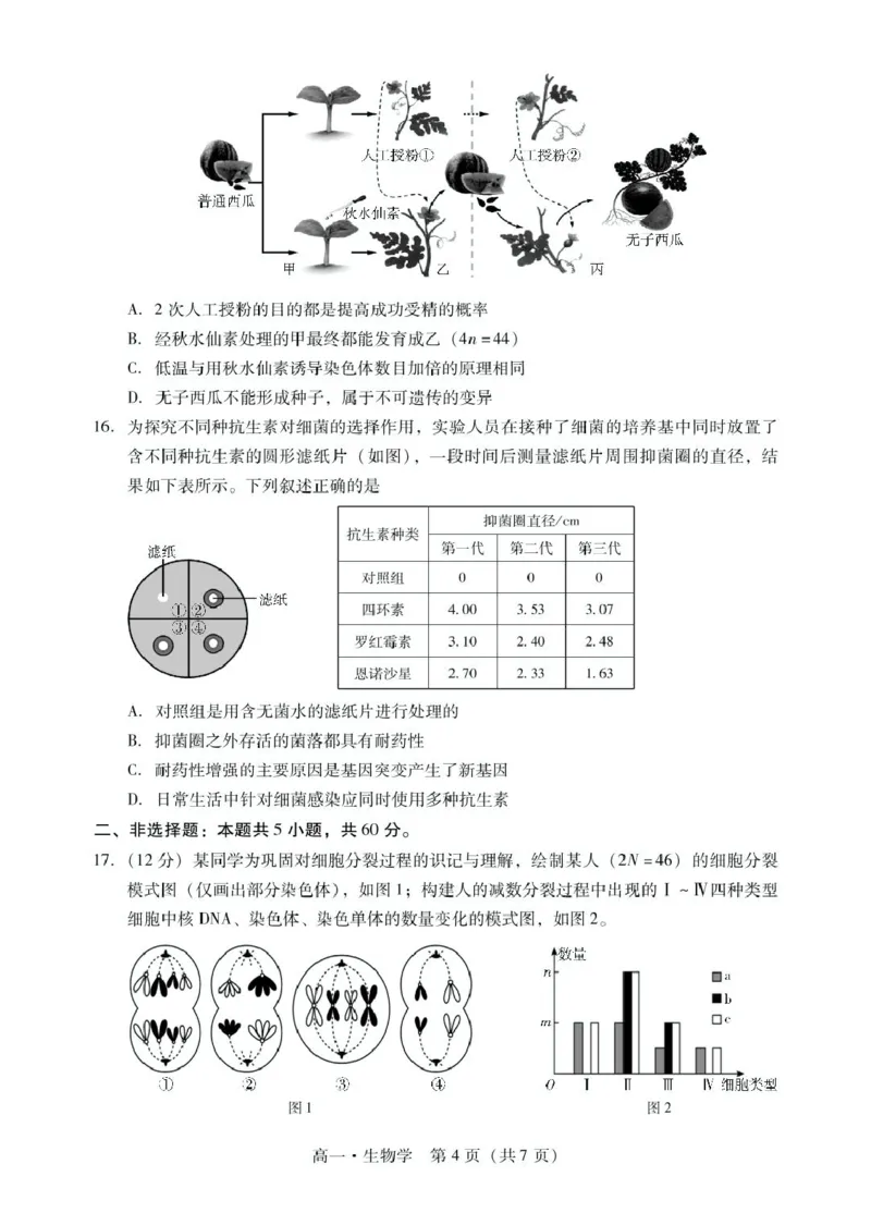 广东省肇庆市2024-2025学年高一下学期期末统一考试生物试卷（图片版有解析）_2024-2025高一（7-7月题库）_2025年7月_250720广东省肇庆市2024-2025学年高一下学期期末考试（全）
