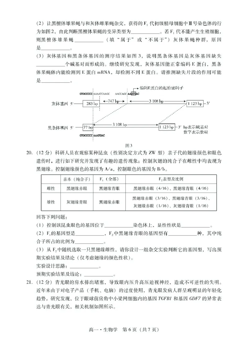 广东省肇庆市2024-2025学年高一下学期期末统一考试生物试卷（图片版有解析）_2024-2025高一（7-7月题库）_2025年7月_250720广东省肇庆市2024-2025学年高一下学期期末考试（全）
