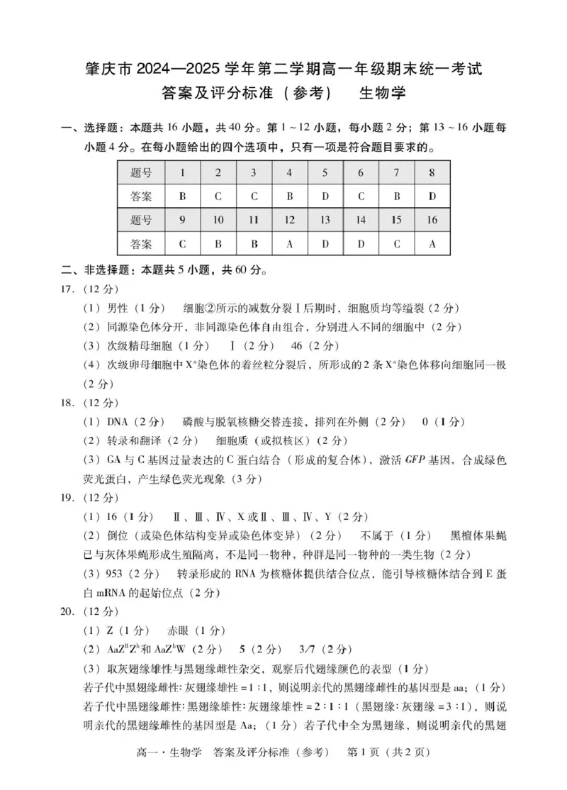 广东省肇庆市2024-2025学年高一下学期期末统一考试生物试卷（图片版有解析）_2024-2025高一（7-7月题库）_2025年7月_250720广东省肇庆市2024-2025学年高一下学期期末考试（全）