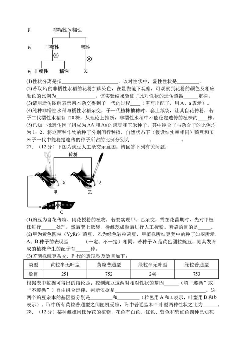 江苏省扬州市广陵区江苏省扬州中学2024-2025学年高一下学期3月月考生物试题（含答案）_2024-2025高一（7-7月题库）_2025年04月试卷_0416江苏省扬州市扬州中学2024-2025学年高一下学期3月月考