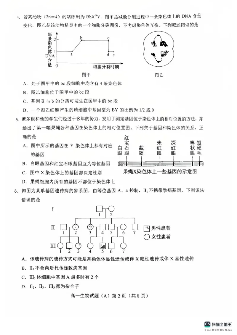 山东省菏泽市2024-2025学年高一下学期期中考试生物试题（A）（扫描版，含答案）_2024-2025高一（7-7月题库）_2025年05月试卷_0530山东省菏泽市2024-2025学年高一下学期4月期中考试