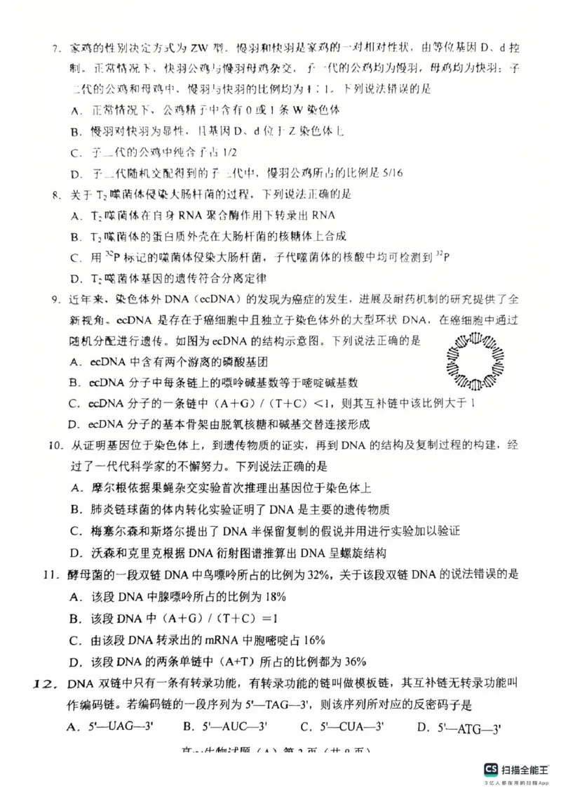山东省菏泽市2024-2025学年高一下学期期中考试生物试题（A）（扫描版，含答案）_2024-2025高一（7-7月题库）_2025年05月试卷_0530山东省菏泽市2024-2025学年高一下学期4月期中考试