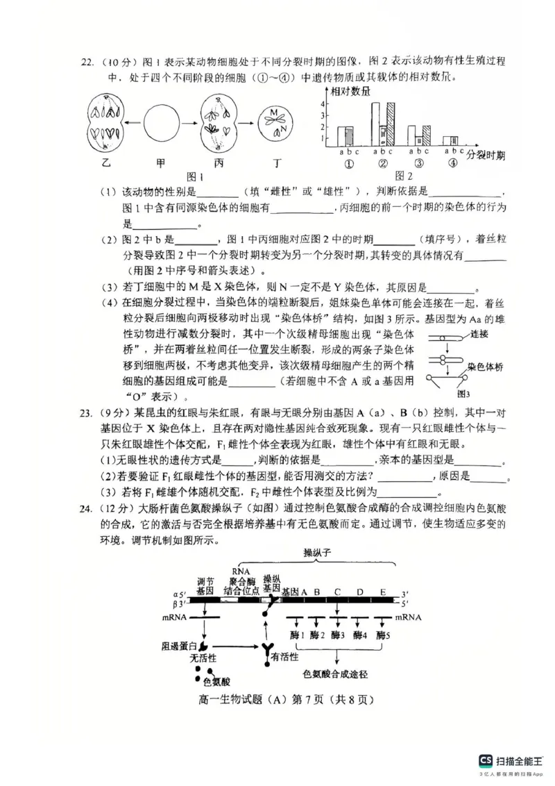 山东省菏泽市2024-2025学年高一下学期期中考试生物试题（A）（扫描版，含答案）_2024-2025高一（7-7月题库）_2025年05月试卷_0530山东省菏泽市2024-2025学年高一下学期4月期中考试
