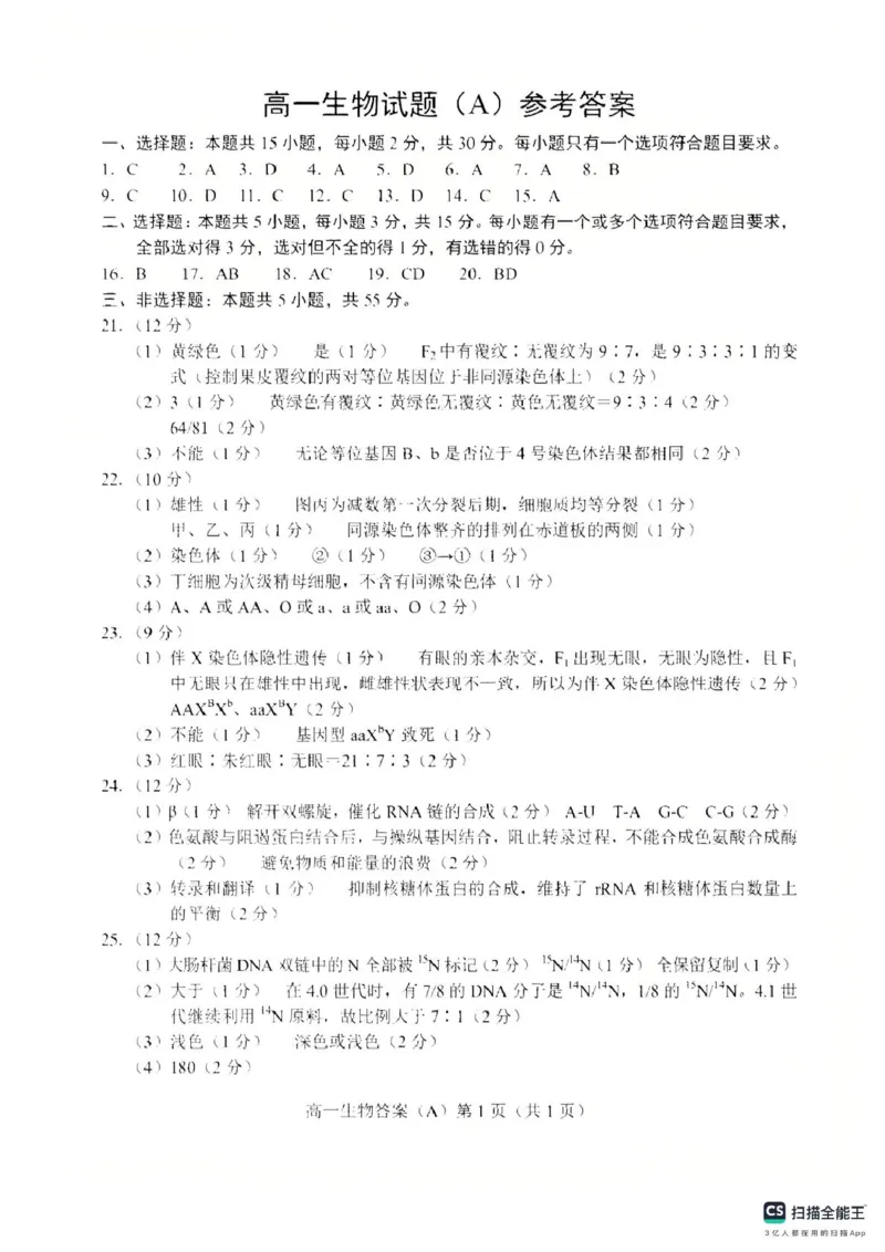 山东省菏泽市2024-2025学年高一下学期期中考试生物试题（A）（扫描版，含答案）_2024-2025高一（7-7月题库）_2025年05月试卷_0530山东省菏泽市2024-2025学年高一下学期4月期中考试