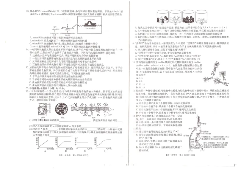 安徽省阜阳市2024-2025学年高一下学期7月期末生物试题_2024-2025高一（7-7月题库）_2025年7月_250705安徽省阜阳市2024-2025学年高一下学期7月期末考试