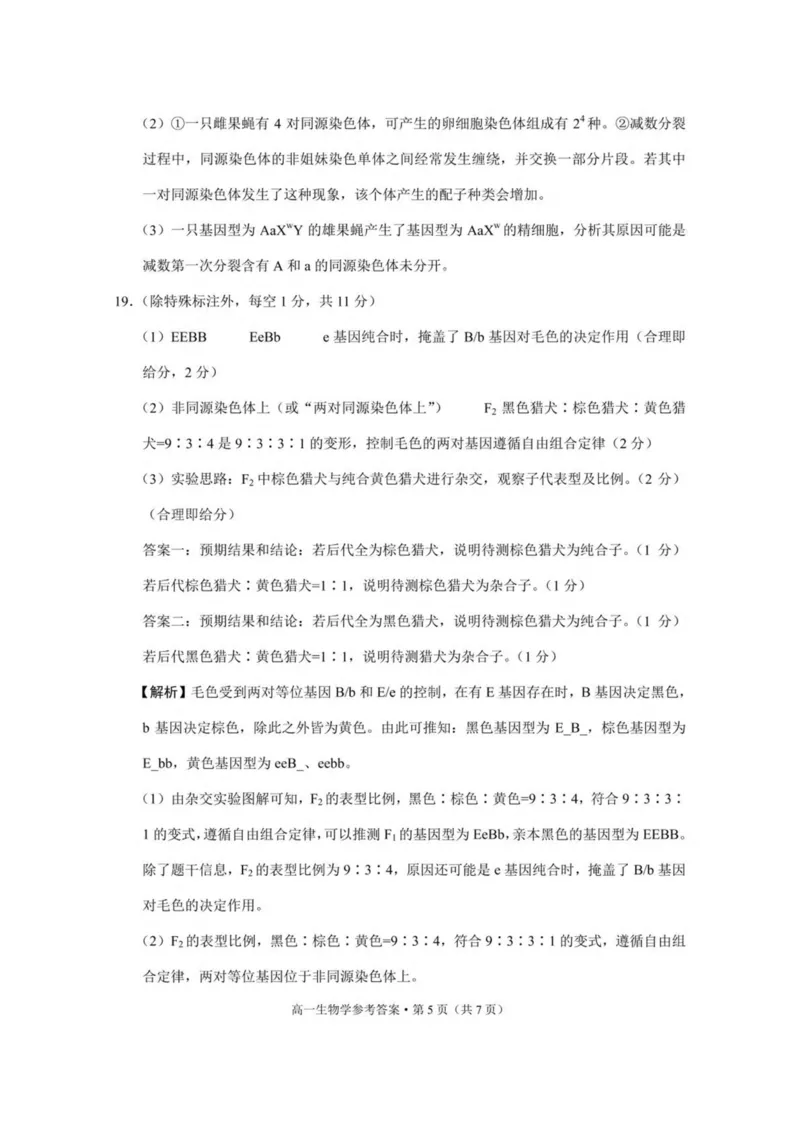 云南省保山市2024-2025学年高一下学期4月期中考试生物PDF版含解析_2024-2025高一（7-7月题库）_2025年05月试卷_0529云南省保山市2024-2025学年高一下学期4月期中考试