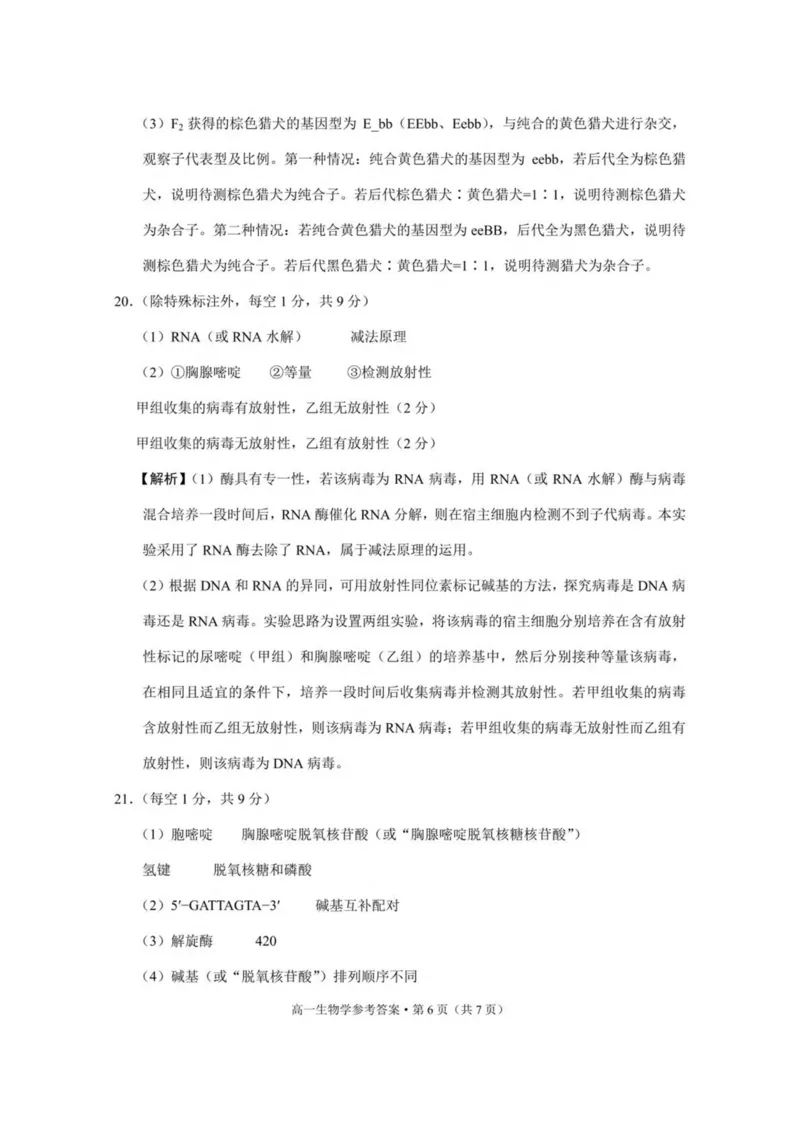 云南省保山市2024-2025学年高一下学期4月期中考试生物PDF版含解析_2024-2025高一（7-7月题库）_2025年05月试卷_0529云南省保山市2024-2025学年高一下学期4月期中考试