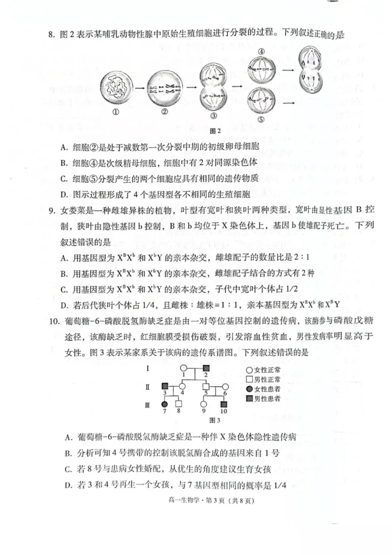 云南省保山市2024-2025学年高一下学期4月期中考试生物PDF版含解析_2024-2025高一（7-7月题库）_2025年05月试卷_0529云南省保山市2024-2025学年高一下学期4月期中考试