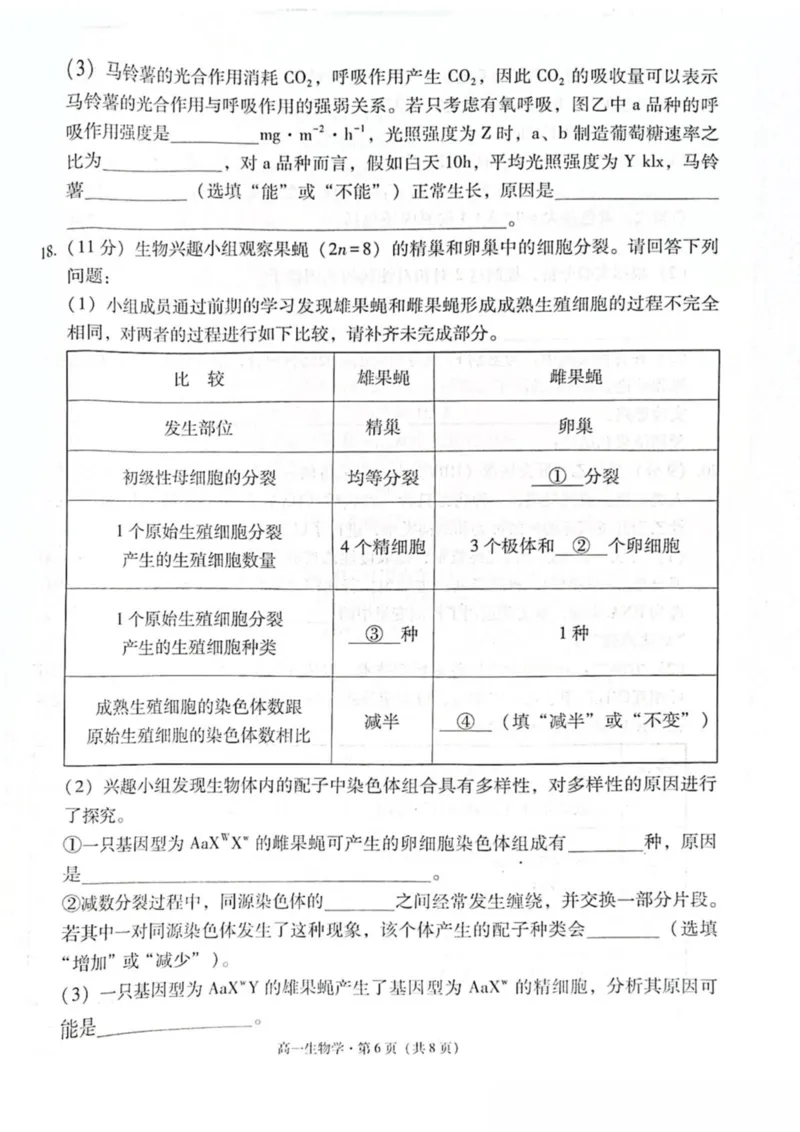 云南省保山市2024-2025学年高一下学期4月期中考试生物PDF版含解析_2024-2025高一（7-7月题库）_2025年05月试卷_0529云南省保山市2024-2025学年高一下学期4月期中考试