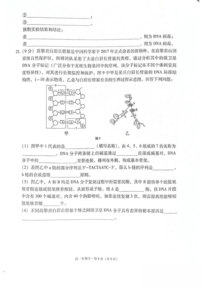 云南省保山市2024-2025学年高一下学期4月期中考试生物PDF版含解析_2024-2025高一（7-7月题库）_2025年05月试卷_0529云南省保山市2024-2025学年高一下学期4月期中考试